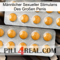 Männlicher Sexueller Stimulans Des Großen Penis levitra2